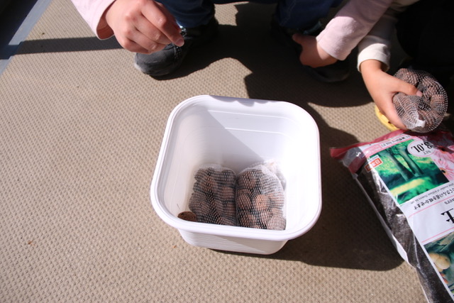 苗を鉢に植え替える方法 コツ 100均 ダイソー 花の土 鉢底石を購入 Conote